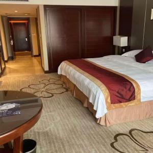 Deluxe King Apartment