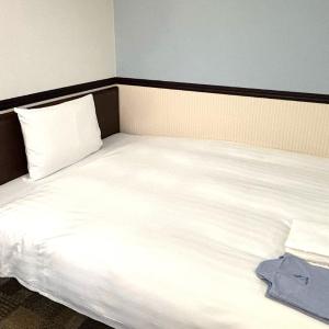 Accessible Single Room - Non-Smoking