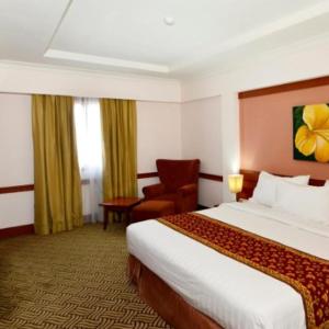 Superior Double or Twin Room with City View