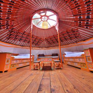 Tent