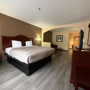 King Suite with Sofa Bed - Non Smoking