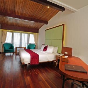Double Room with Mountain View