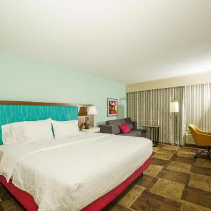 King Suite with Sofa Bed - Non-Smoking