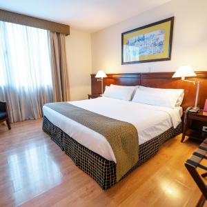 Premier Suite