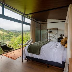 Deluxe King Studio Vista Suite