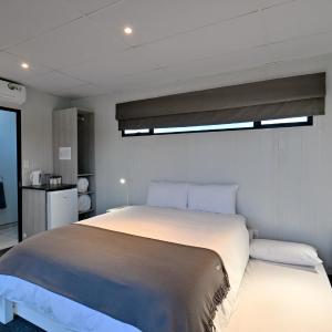 Family Room (Queen Bed + 2 Rollout Trundle Beds)