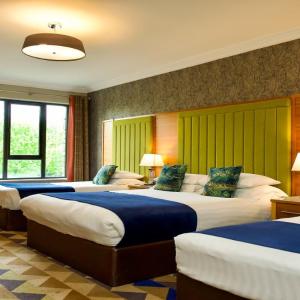 Family Flexi Room