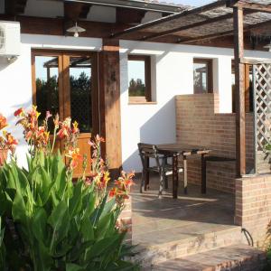 Studio with Terrace