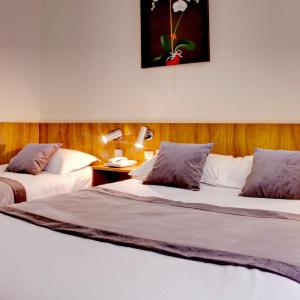 Comfort Single Room