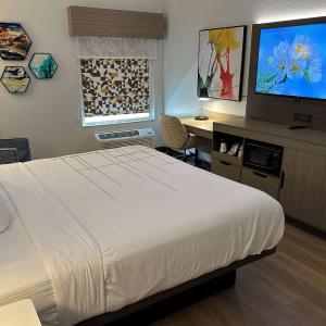 King Room with Roll-In Shower Bars - Mobility Accessible/Non-Smoking