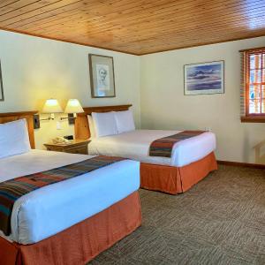 Double or Twin Room - Disability Access