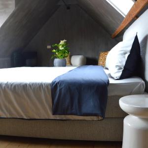 Duplex Suite