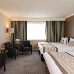 Family Junior Suite