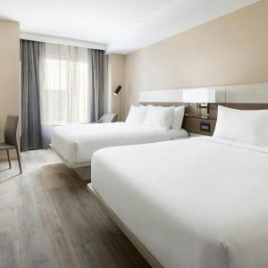 Studio with Two Queen Beds and Sofa Bed