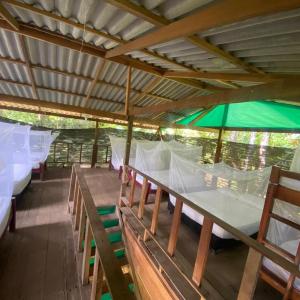 Bunk Bed in Mixed Dormitory Room