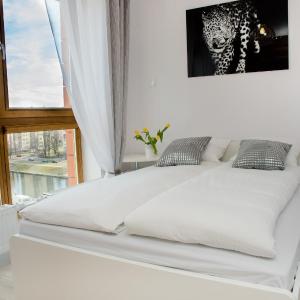 One-Bedroom Apartment with Balcony 223A