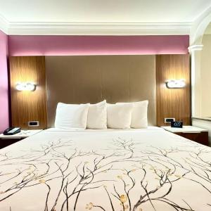 King Room - Non-Smoking
