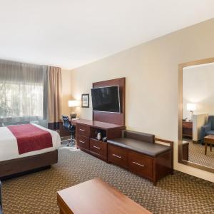 King Room with Sofa Bed - Non-Smoking