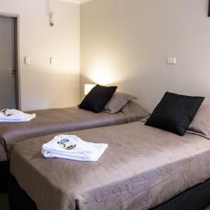 Twin Suite
