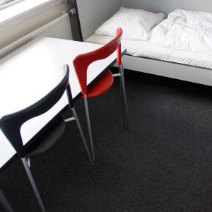 Room with Bunk Bed