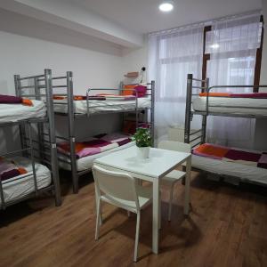 Bed in 8-Bed Mixed Dormitory Room with Shared Bathroom