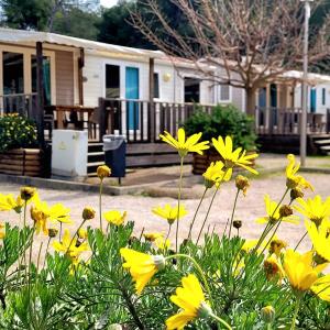 Two bedroom Mobile Home (4 adults) - 35 m2