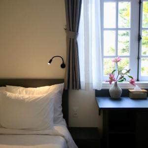 Superior Twin Room with Garden View