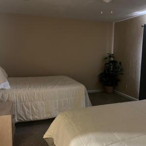 One-Bedroom Apartment with Balcony