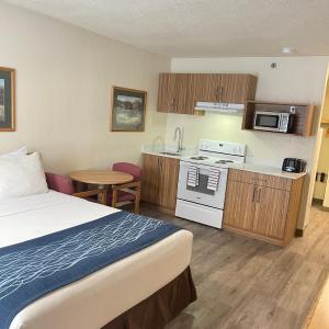 Superior Efficiency Suite with One Queen Bed - Non-Smoking
