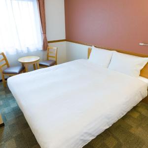 Queen Room for Single Use - Non-Smoking