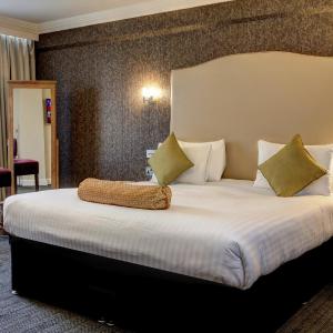 Junior 1 Bed Suite
