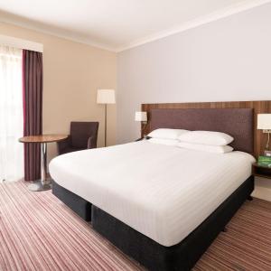 Standard Queen Room - Accessible