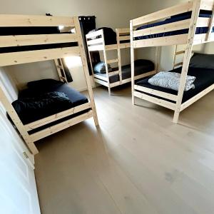 Bunk Bed in Mixed Dormitory Room