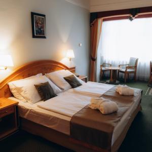 Double or Twin Room with Spa Access