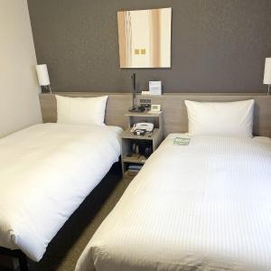 Superior Twin Room - Non-Smoking