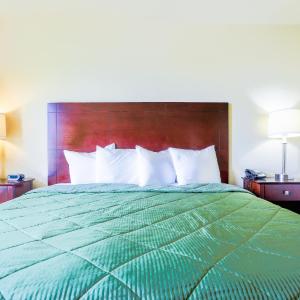 King Room - Disability Access