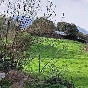 Studio with Mountain View