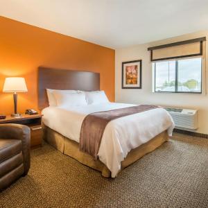 Queen Room - Hearing & Mobility Accessible - Roll In Shower