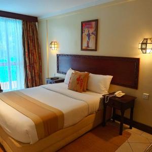 Standard Room 1 Double Bed, 21Sqm, Air Conditionned, Room Service, Tea And Coffee, Flat Screen Tv 