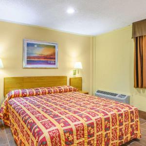 King Room - Non-Smoking/Pet Friendly