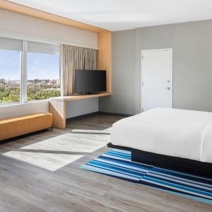 Larger Presidential King Studio with River View, Balcony and Sofa Bed