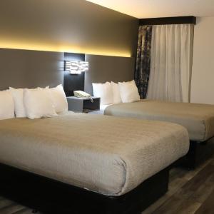 Queen Room with Two Queen Beds - Non Smoking