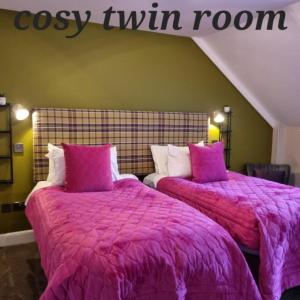 Cozy Twin Room