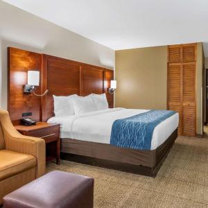 Standard Room, 1 King Bed, Accessible Roll-In Shower, Non Smoking