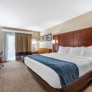 Standard Room, 1 King Bed, Non Smoking