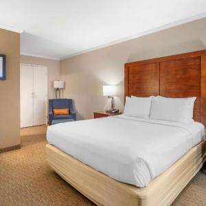 Standard Room, 1 King Bed with Sofa Bed, Non Smoking