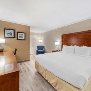 Standard one Queen Bed - Non-Smoking