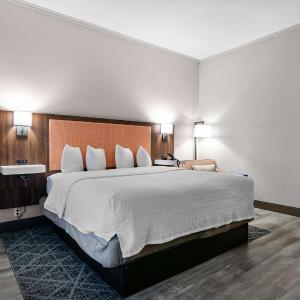 King Room with King Bed - Non-Smoking
