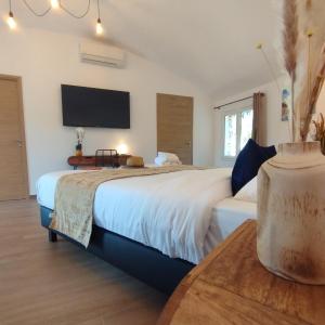Suite with Terrace