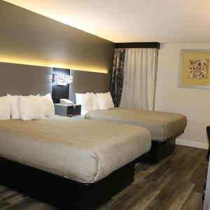 Quadruple Room with Two Queen Beds - Non Smoking